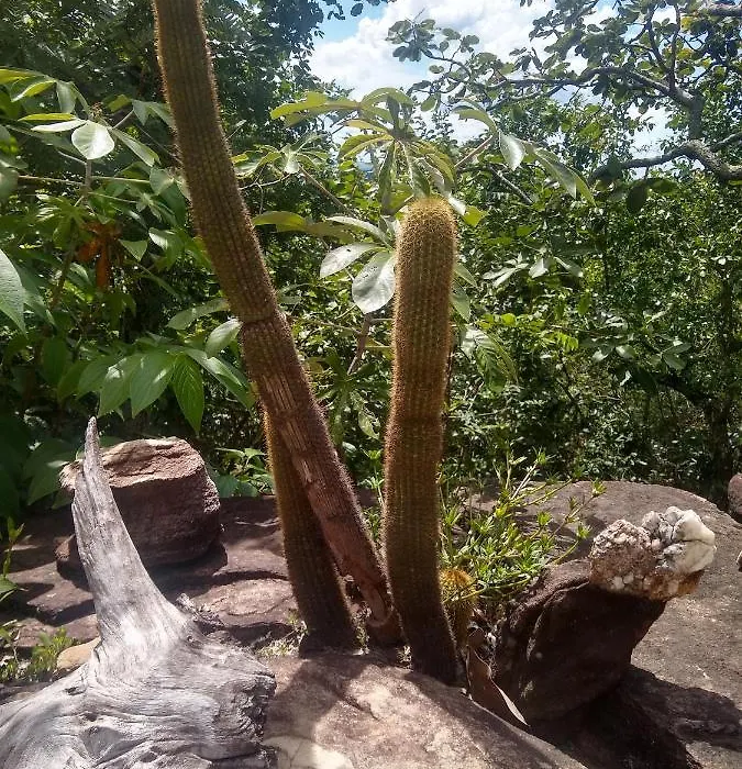 Pousada Paraiso Dos Pireneus-1
