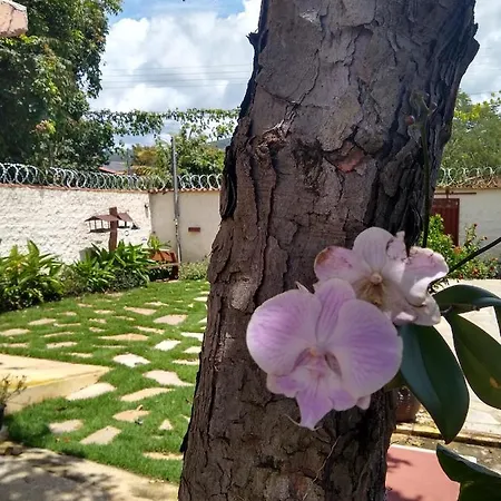 Pousada Paraiso Dos Pireneus-2